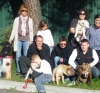 Education canine, vidéo éducateurs comportementalistes-chiot-chiens par dressemonchien.com